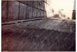 Fotografia n. 0011