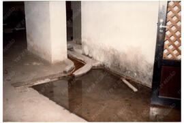 Fotografia n. 0020
