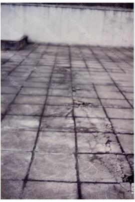 Fotografia n. 0028