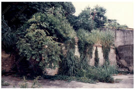 Fotografia n. 0028