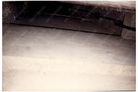 Fotografia n. 0021